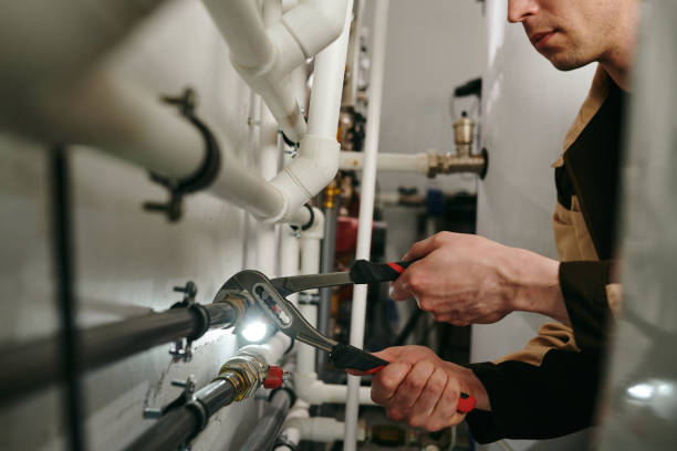 Best Plumbing Inspection Services  in Norman Park, GA