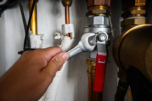 Best Local Plumber Services  in Norman Park, GA